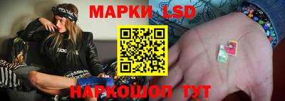 стафф Бийск