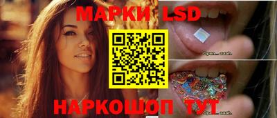 стафф Бийск