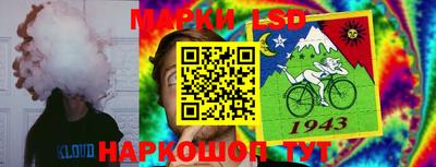 стафф Бийск
